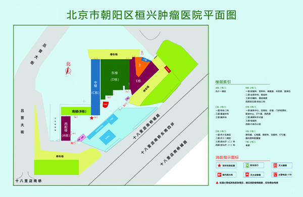 爆操老啊以北京市朝阳区桓兴肿瘤医院平面图